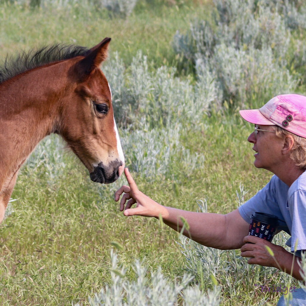 Kristin and one of her foals