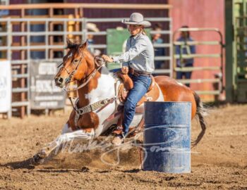 A Paint mare barrel racing.