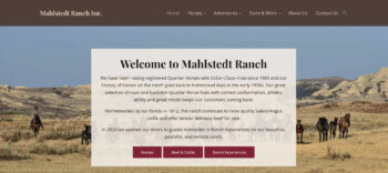Mahlsted Ranch, Inc's website features Quarter Horses for sale, Ranch Adventures, beef, and even merchandise.