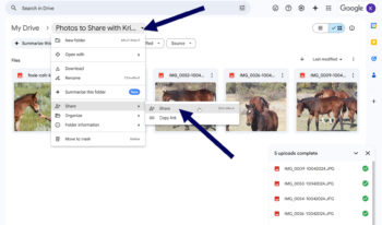 Sharing the open folder on Google Drive