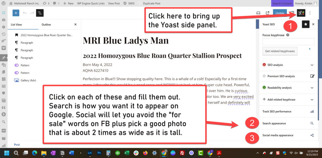 Screenshot showing the side panel in the Post Editor displaying the Yoast SEO plugin options.
